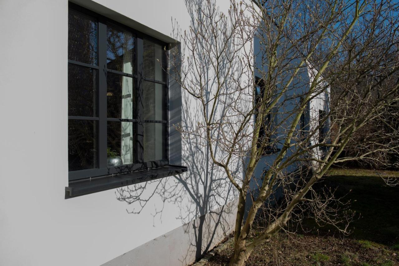 Freiraum Loft Villa Markkleeberg Buitenkant foto